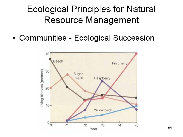 Ecological Principles for Natural Resource Management • Communities - Ecological Succession 59 Ecological Principles for Natural Resource Management • Communities - Ecological Succession 59