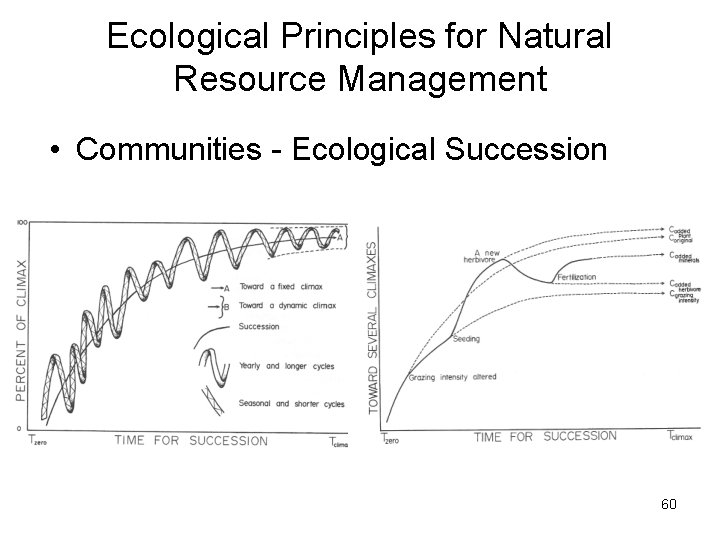 Ecological Principles for Natural Resource Management • Communities - Ecological Succession 60 Ecological Principles for Natural Resource Management • Communities - Ecological Succession 60