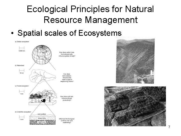 Ecological Principles for Natural Resource Management • Spatial scales of Ecosystems 7 Ecological Principles for Natural Resource Management • Spatial scales of Ecosystems 7