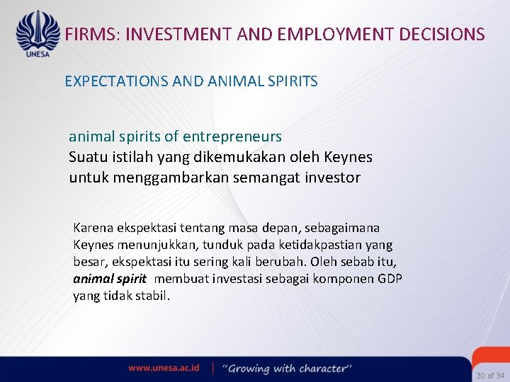 FIRMS: INVESTMENT AND EMPLOYMENT DECISIONS EXPECTATIONS AND ANIMAL SPIRITS animal spirits of entrepreneurs Suatu
