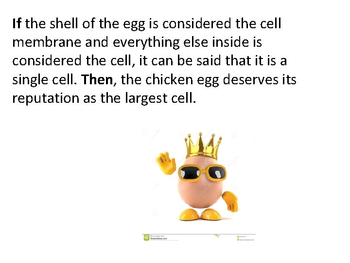 If the shell of the egg is considered the cell membrane and everything else