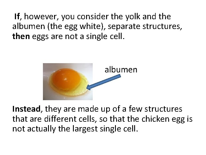 If, however, you consider the yolk and the albumen (the egg white), separate structures,