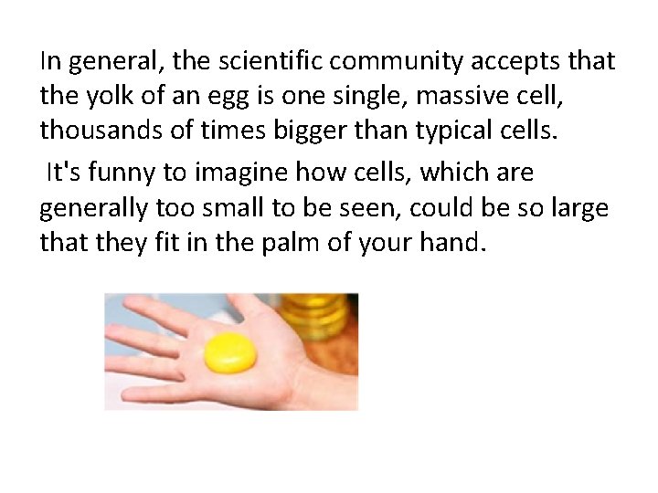 In general, the scientific community accepts that the yolk of an egg is one