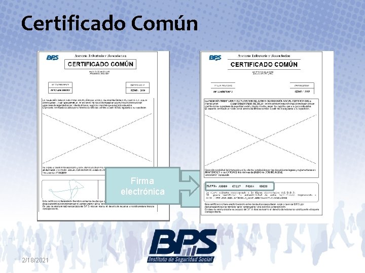 Certificado Común Firma electrónica 2/18/2021 Firma autógrafa 
