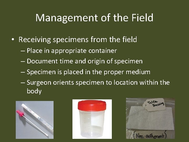 Management of the Field • Receiving specimens from the field – Place in appropriate