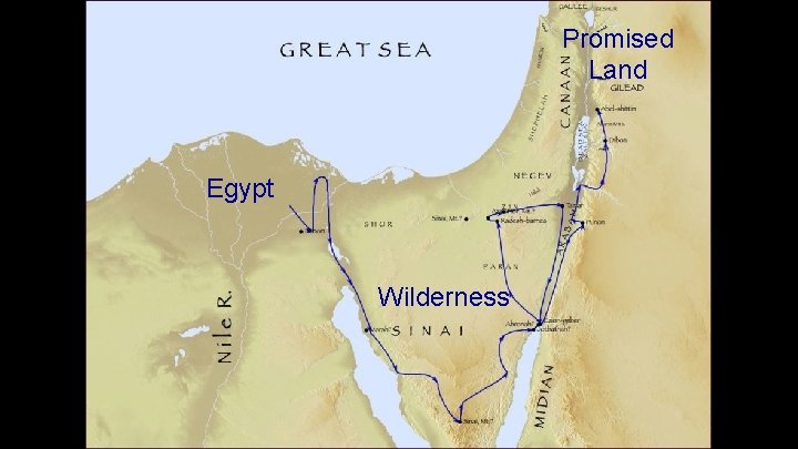 Promised Land Egypt Wilderness 