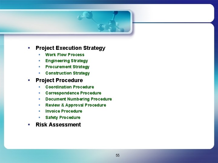 § Project Execution Strategy § § § Project Procedure § § § § Work