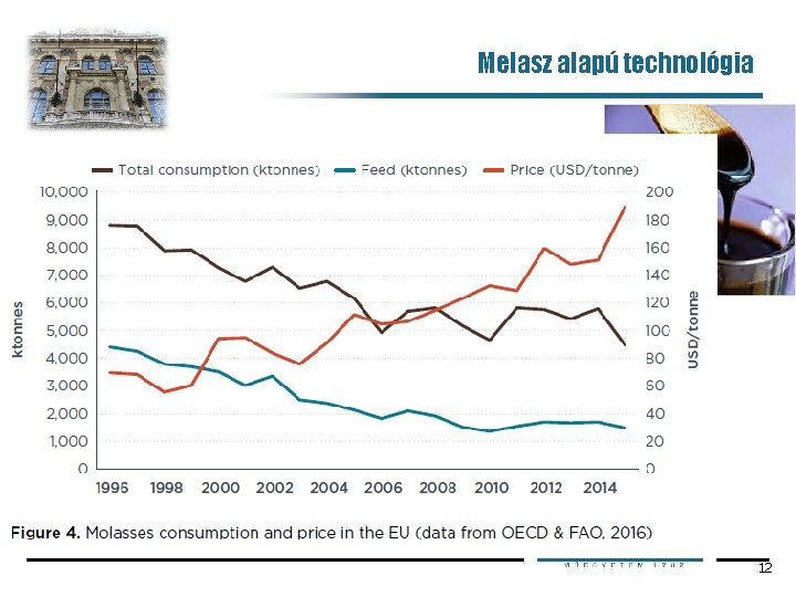 Melasz alapú technológia 12 