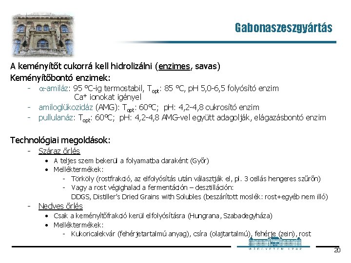 Gabonaszeszgyártás A keményítőt cukorrá kell hidrolizálni (enzimes, savas) Keményítőbontó enzimek: amiláz: 95 °C ig