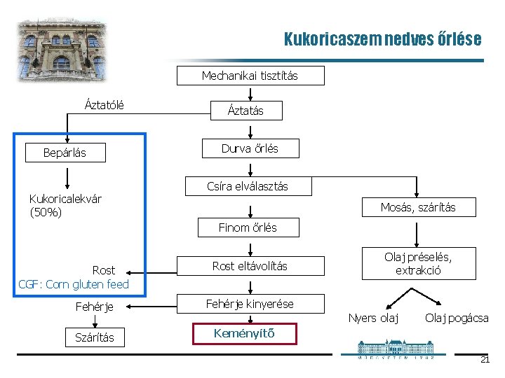 Kukoricaszem nedves őrlése Mechanikai tisztítás Áztatólé Bepárlás Kukoricalekvár (50%) Áztatás Durva őrlés Csíra elválasztás