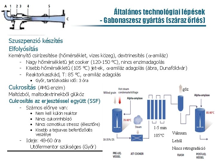 Általános technológiai lépések - Gabonaszesz gyártás (száraz őrlés) Szuszpenzió készítés Elfolyósítás Keményítő csirízesítése (hőmérséklet,