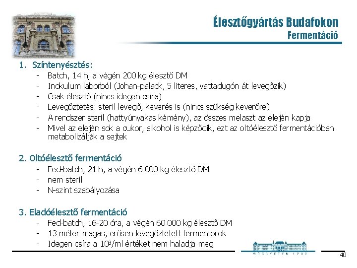 Élesztőgyártás Budafokon Fermentáció 1. Színtenyésztés: Batch, 14 h, a végén 200 kg élesztő DM