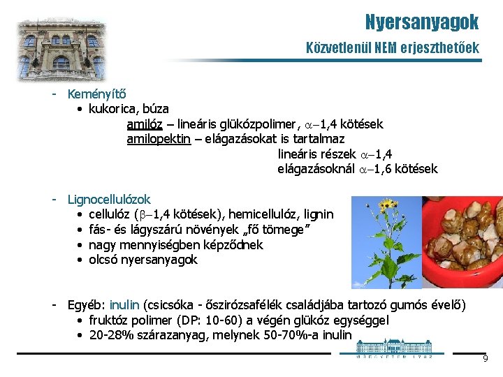 Nyersanyagok Közvetlenül NEM erjeszthetőek Keményítő • kukorica, búza amilóz – lineáris glükózpolimer, -1, 4