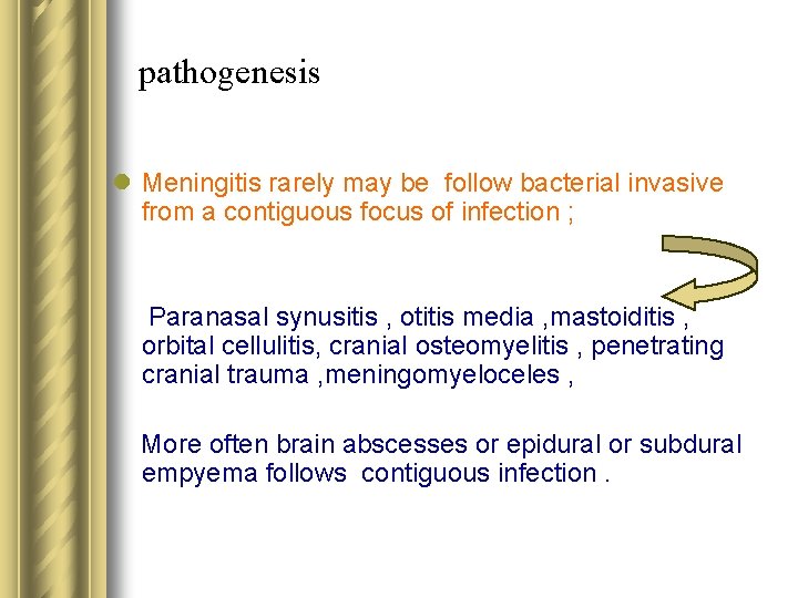 pathogenesis l Meningitis rarely may be follow bacterial invasive from a contiguous focus of