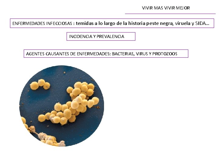 VIVIR MAS VIVIR MEJOR ENFERMEDADES INFECCIOSAS : temidas a lo largo de la historia