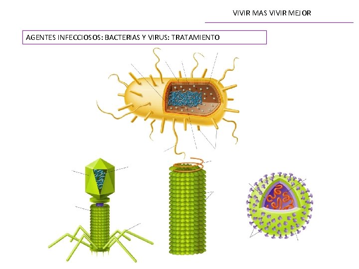 VIVIR MAS VIVIR MEJOR AGENTES INFECCIOSOS: BACTERIAS Y VIRUS: TRATAMIENTO 