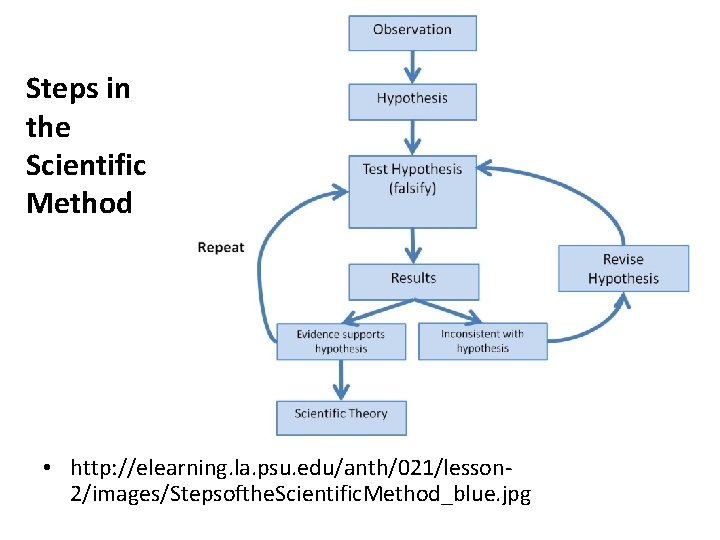 Steps in the Scientific Method • http: //elearning. la. psu. edu/anth/021/lesson 2/images/Stepsofthe. Scientific. Method_blue.