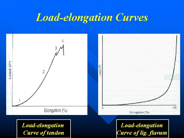 Load-elongation Curves Load-elongation Curve of tendon Load-elongation Curve of lig. flavum 