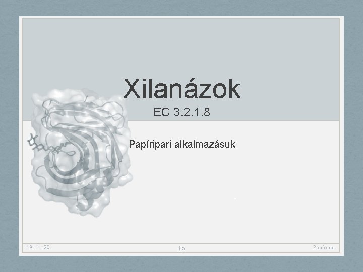 Xilanázok EC 3. 2. 1. 8 Papíripari alkalmazásuk 19. 11. 20. 15 Papíripar 