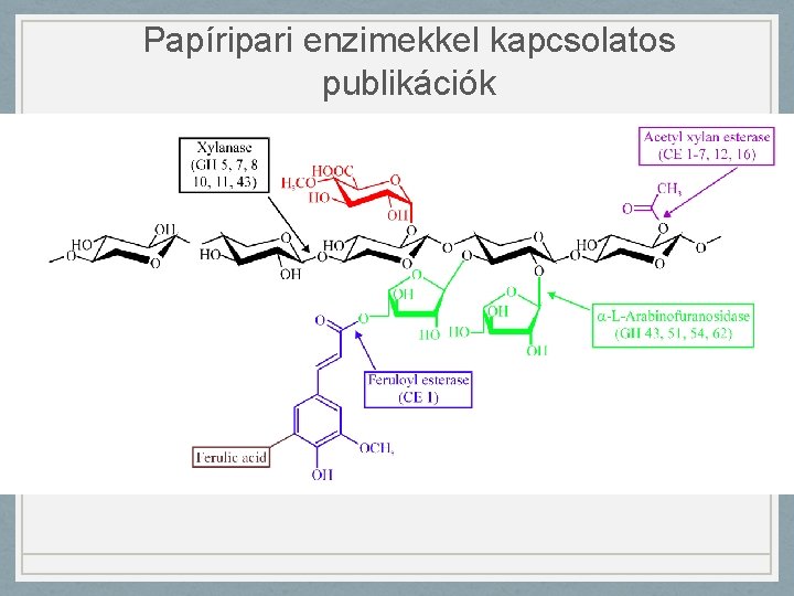 Papíripari enzimekkel kapcsolatos publikációk 