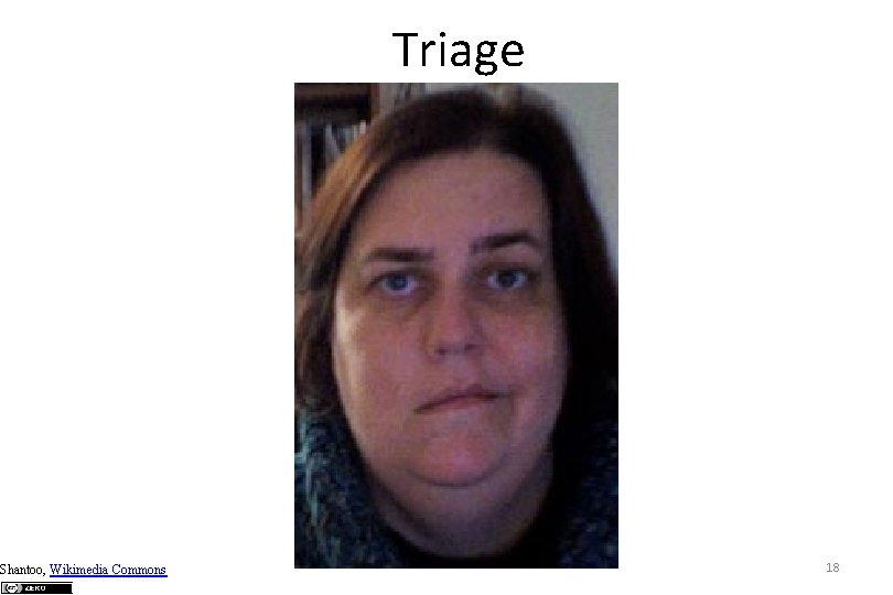 Shantoo, Wikimedia Commons Triage 18 