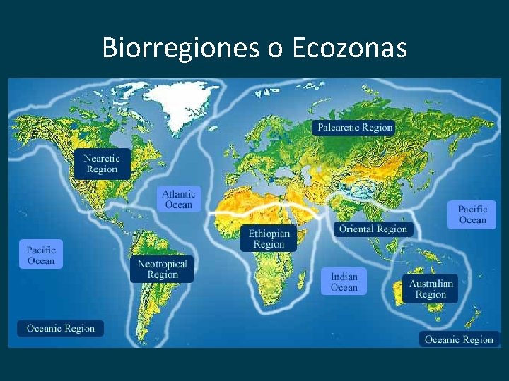 Biorregiones o Ecozonas 