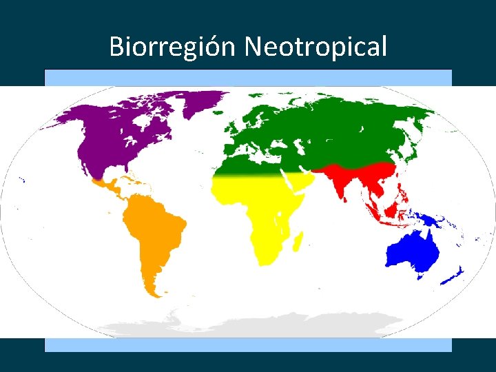 Biorregión Neotropical 