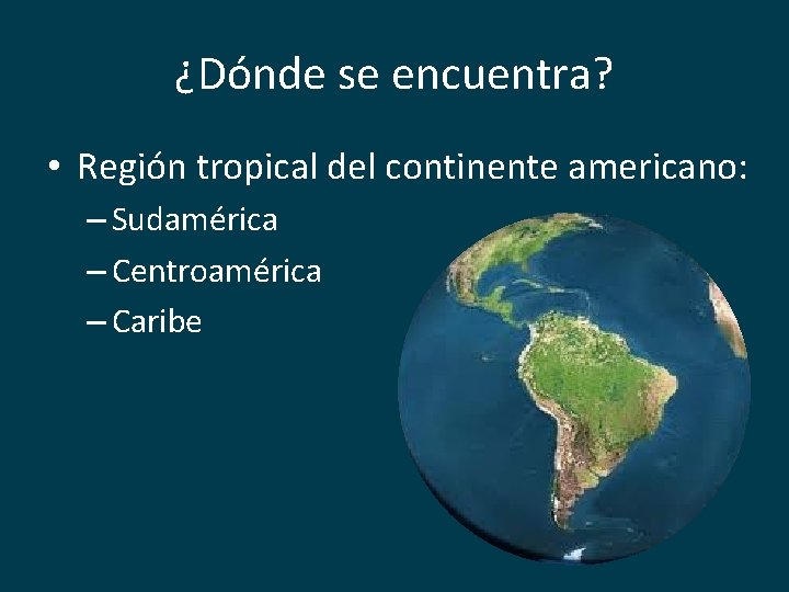 ¿Dónde se encuentra? • Región tropical del continente americano: – Sudamérica – Centroamérica –