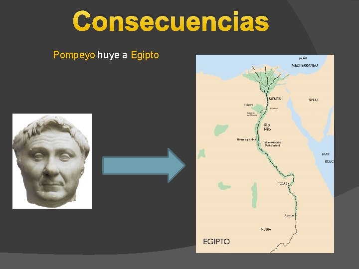 Consecuencias Pompeyo huye a Egipto 