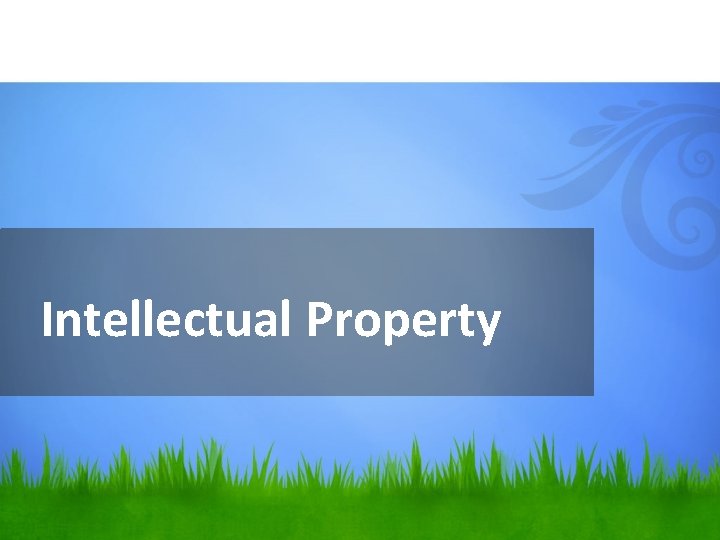Intellectual Property 