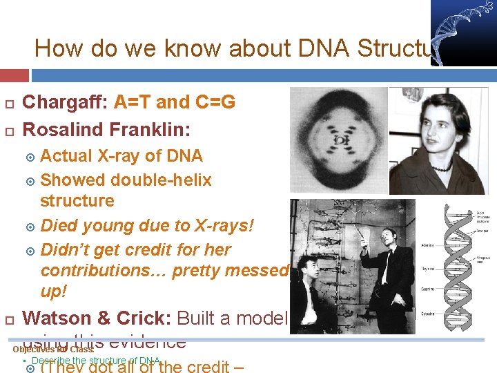 How do we know about DNA Structure? Chargaff: A=T and C=G Rosalind Franklin: Actual