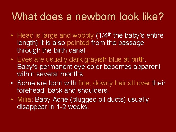 What does a newborn look like? • Head is large and wobbly (1/4 th