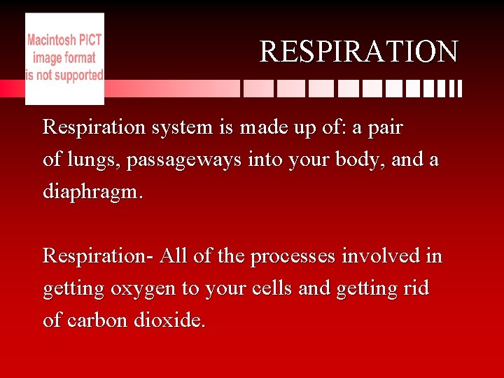 RESPIRATION Respiration system is made up of: a pair of lungs, passageways into your