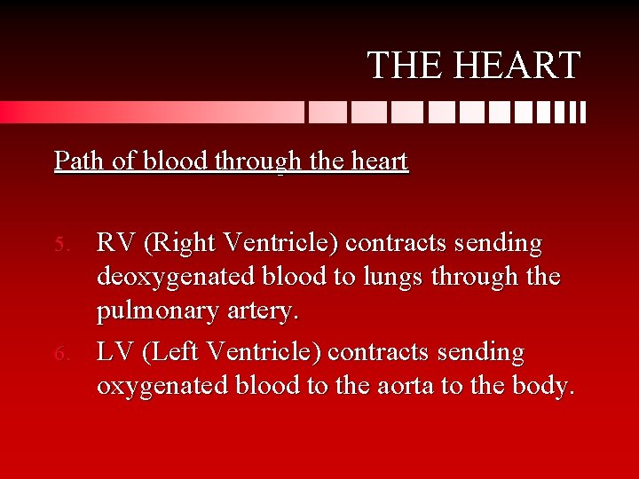 THE HEART Path of blood through the heart 5. 6. RV (Right Ventricle) contracts