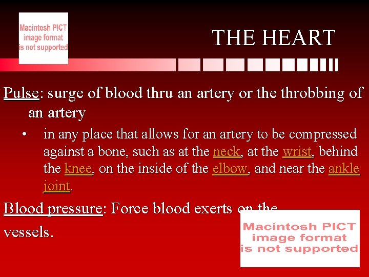 THE HEART Pulse: surge of blood thru an artery or the throbbing of an