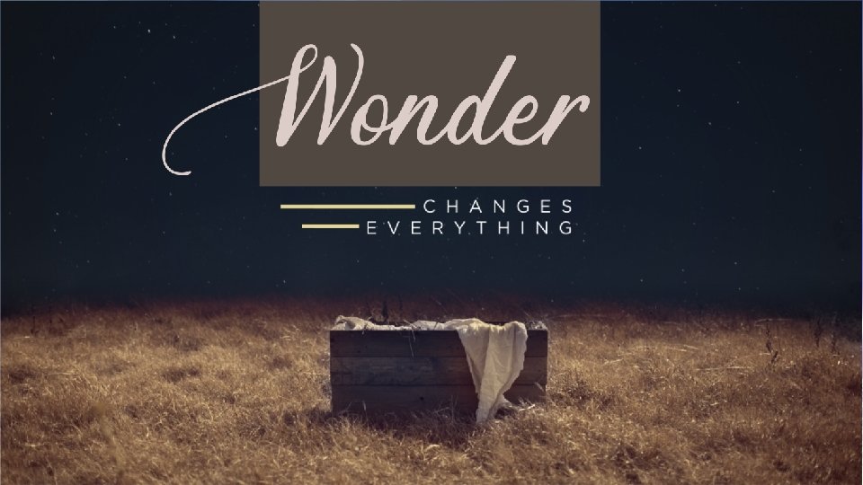 WONDER changes everything 