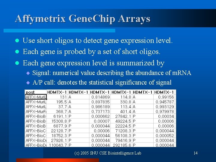 Affymetrix Gene. Chip Arrays Use short oligos to detect gene expression level. l Each