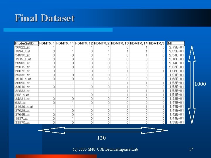 Final Dataset 1000 120 (c) 2005 SNU CSE Biointelligence Lab 17 