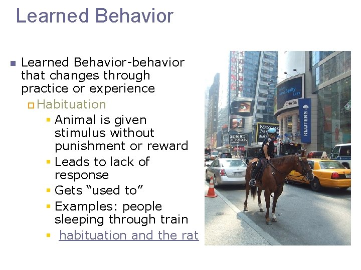 Learned Behavior n Learned Behavior-behavior that changes through practice or experience p Habituation §