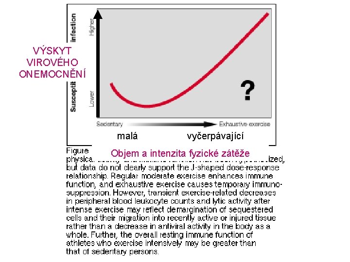 VÝSKYT VIROVÉHO ONEMOCNĚNÍ malá vyčerpávající Objem a intenzita fyzické zátěže 