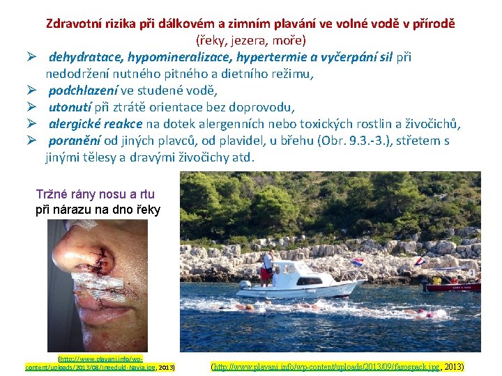 Ø Ø Ø Zdravotní rizika při dálkovém a zimním plavání ve volné vodě v