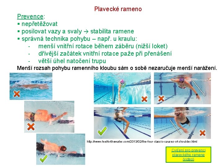 Plavecké rameno Prevence: § nepřetěžovat § posilovat vazy a svaly → stabilita ramene §