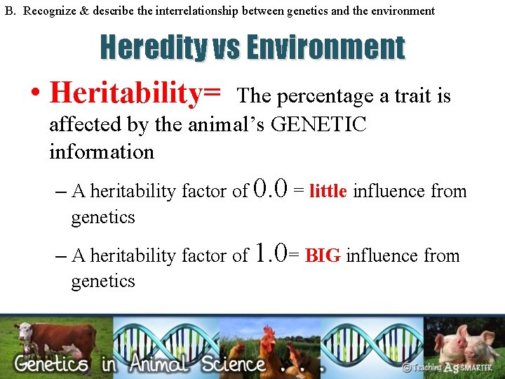 B. Recognize & describe the interrelationship between genetics and the environment Heredity vs Environment