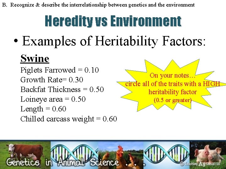 B. Recognize & describe the interrelationship between genetics and the environment Heredity vs Environment