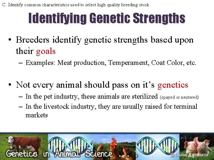 C. Identify common characteristics used to select high quality breeding stock Identifying Genetic Strengths