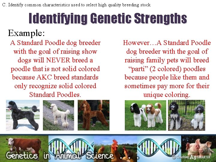 C. Identify common characteristics used to select high quality breeding stock Identifying Genetic Strengths