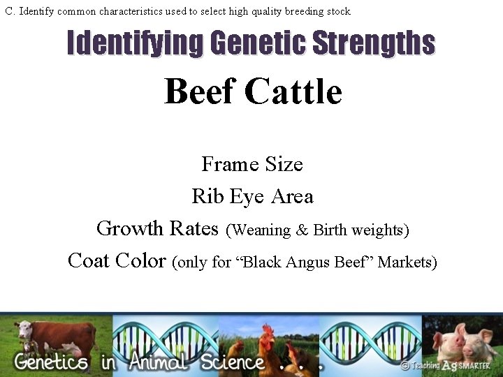 C. Identify common characteristics used to select high quality breeding stock Identifying Genetic Strengths