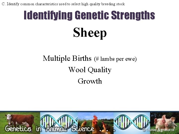 C. Identify common characteristics used to select high quality breeding stock Identifying Genetic Strengths