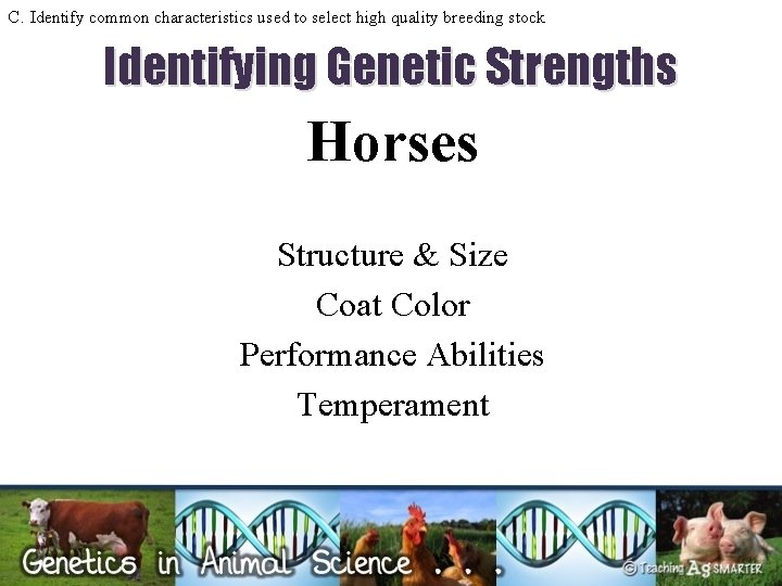 C. Identify common characteristics used to select high quality breeding stock Identifying Genetic Strengths