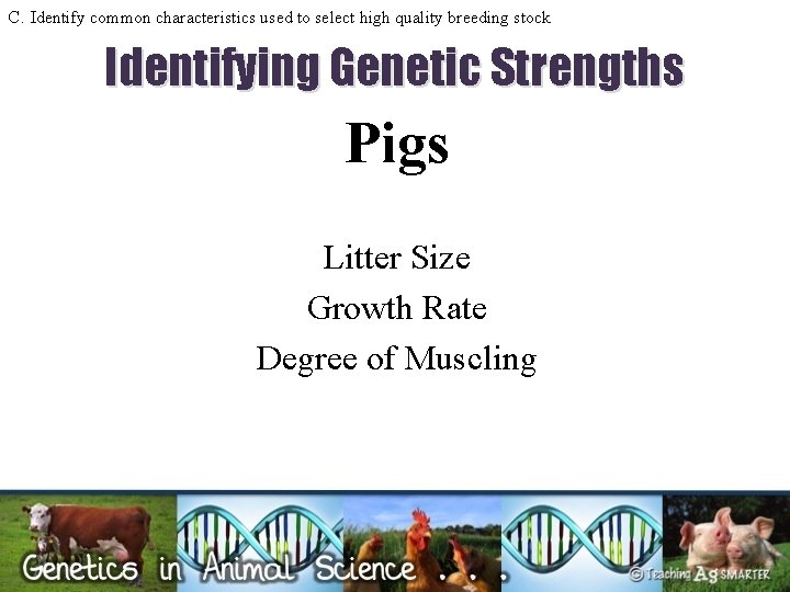 C. Identify common characteristics used to select high quality breeding stock Identifying Genetic Strengths